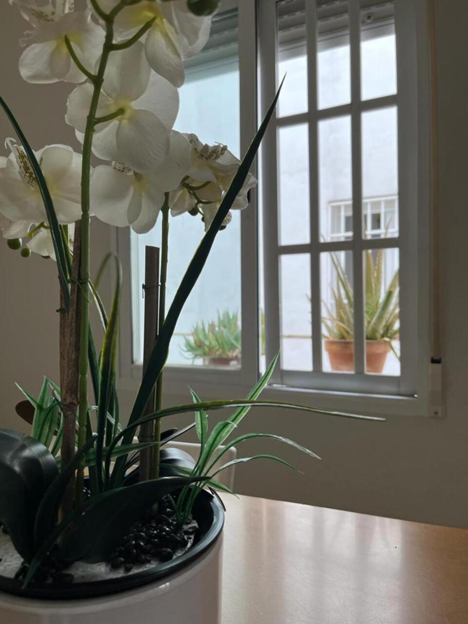 科爾多瓦El Balcon De La Torre公寓 外观 照片