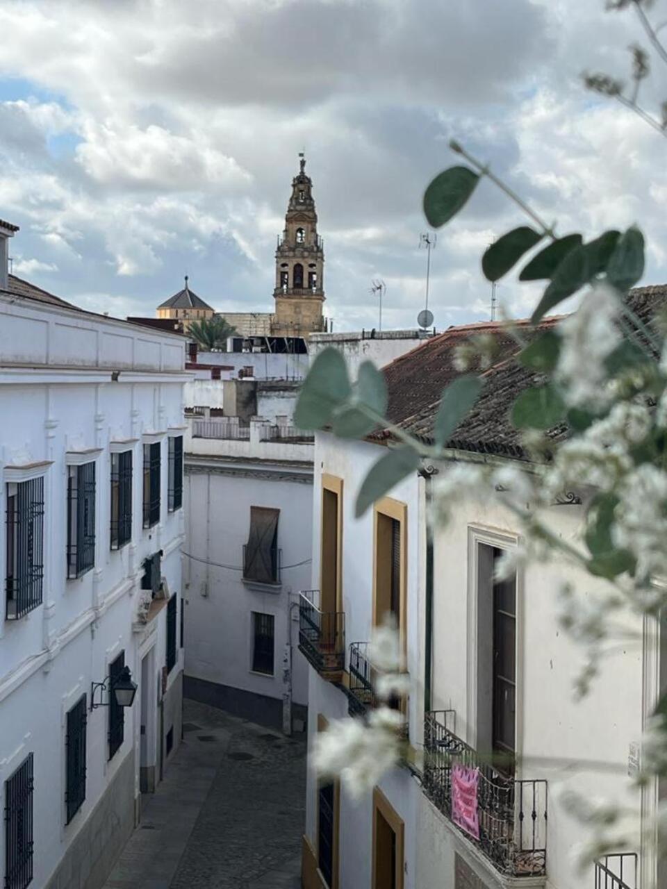 科爾多瓦El Balcon De La Torre公寓 外观 照片