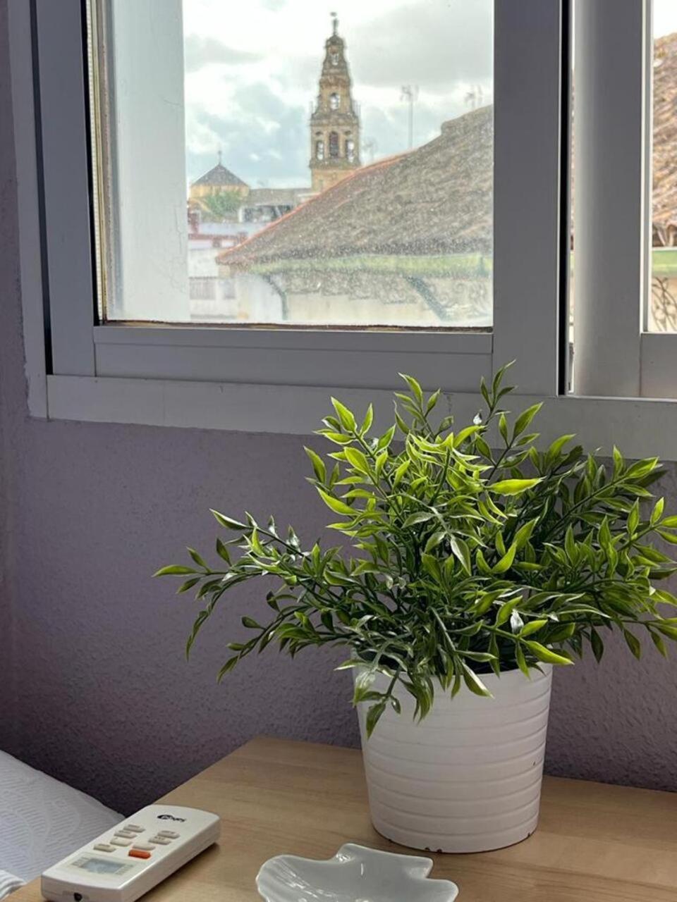 科爾多瓦El Balcon De La Torre公寓 外观 照片