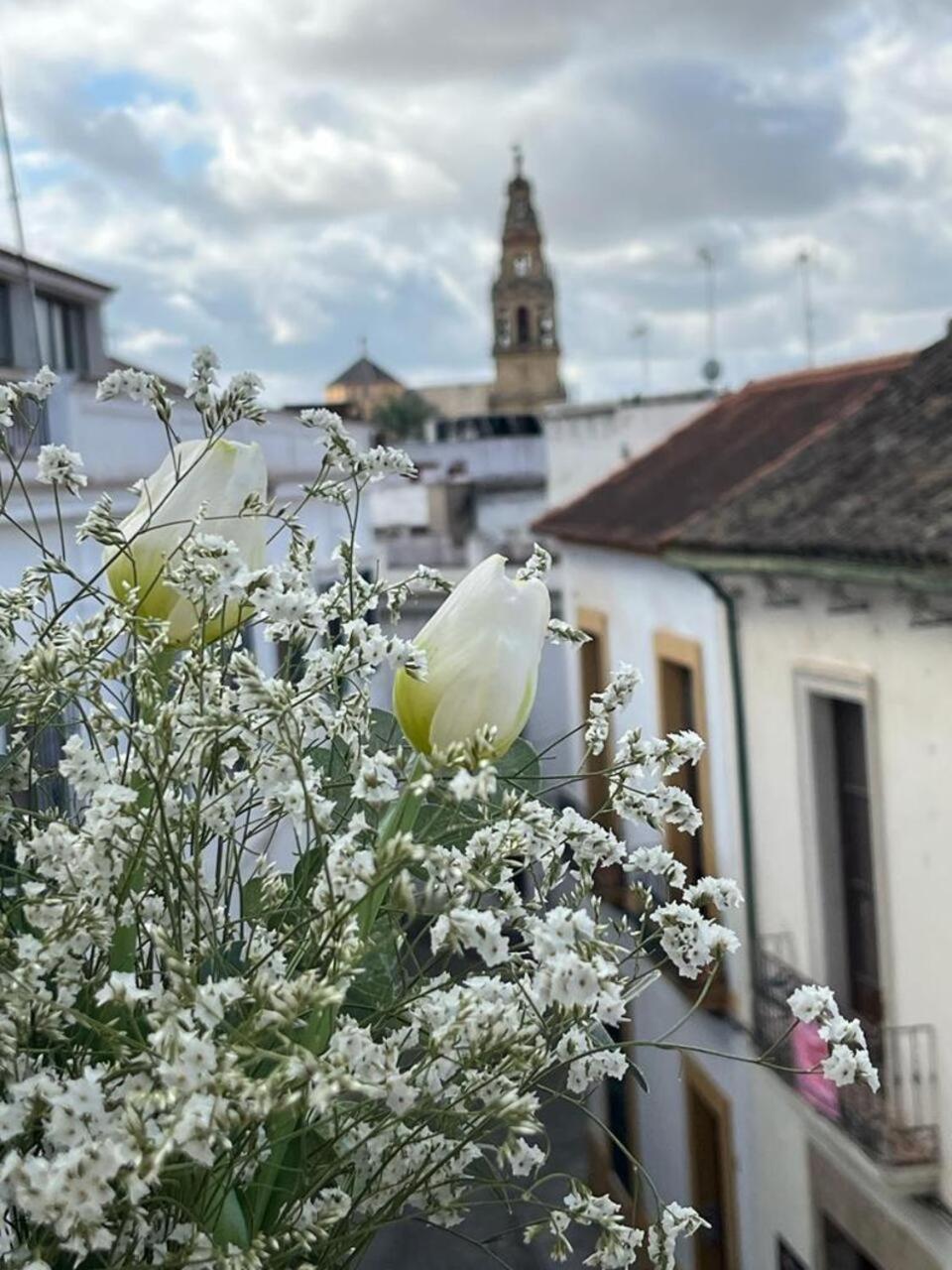 科爾多瓦El Balcon De La Torre公寓 外观 照片