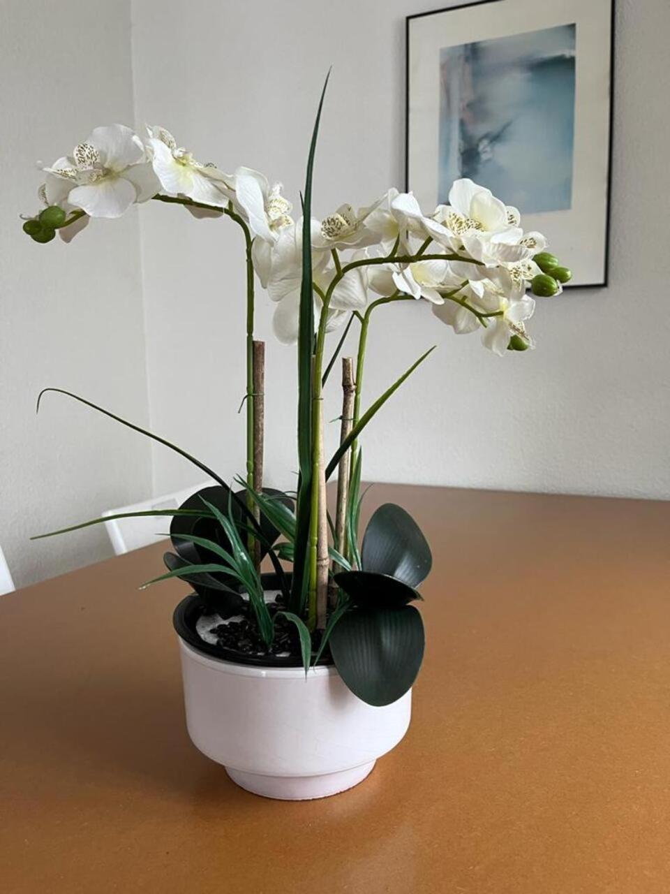 科爾多瓦El Balcon De La Torre公寓 外观 照片