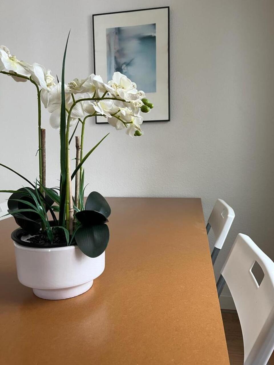 科爾多瓦El Balcon De La Torre公寓 外观 照片